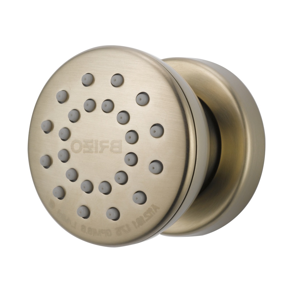 Brizo 84110-BN Body Spray Custom Shower