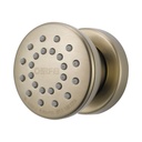 Brizo 84110-BN Body Spray Custom Shower