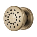 Brizo 84110-GL Touch-Clean(R) Body Spray Trimand Rough