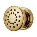 Brizo 84110-PG Invari Touch-Clean(R) Body Spray Trimand Rough