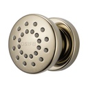 Brizo 84110-PN Touch Clean Body Spray