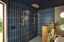 Brizo 85006-GL Kintsu Single Function Handshower Rp