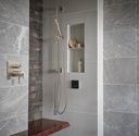 Brizo 85006-PC Kintsu Single Function Handshower Rp