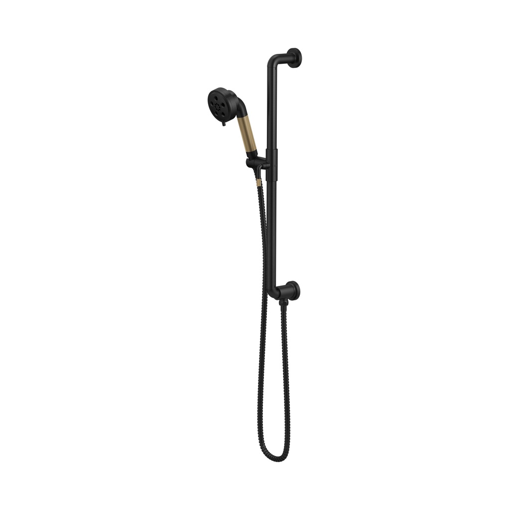 Brizo 85735-BLGL Slide Bar With Handshower Ebar 3S