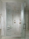 Brizo 85885-PN Charlotte Handshower With Elbow