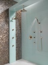 Brizo 85885-PNCO Charlotte Handshower With Elbow