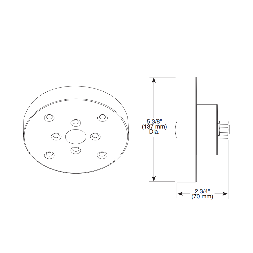 Brizo 87375-PN Odin H2Okinetic(Tm) Raincan Shower Head