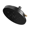 Brizo 87435-BLGL Multifunction Showerhead With H2Okinetic Technology
