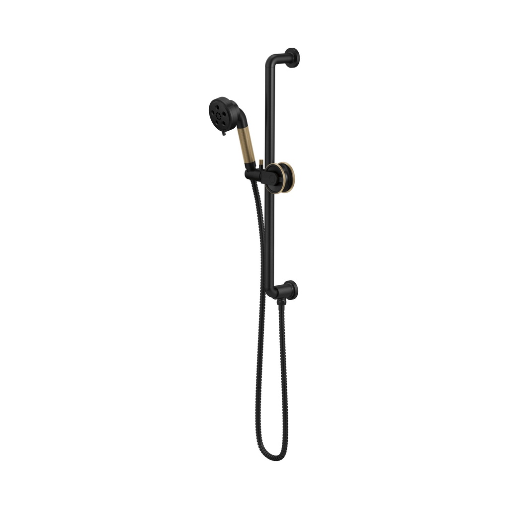 Brizo 88735-BLGL Slide Bar With Handshower De Bar 3S