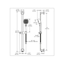 Brizo 88767-PC Allaria Hand Shower 1.75Gpm W/Slidebar 4-Setting