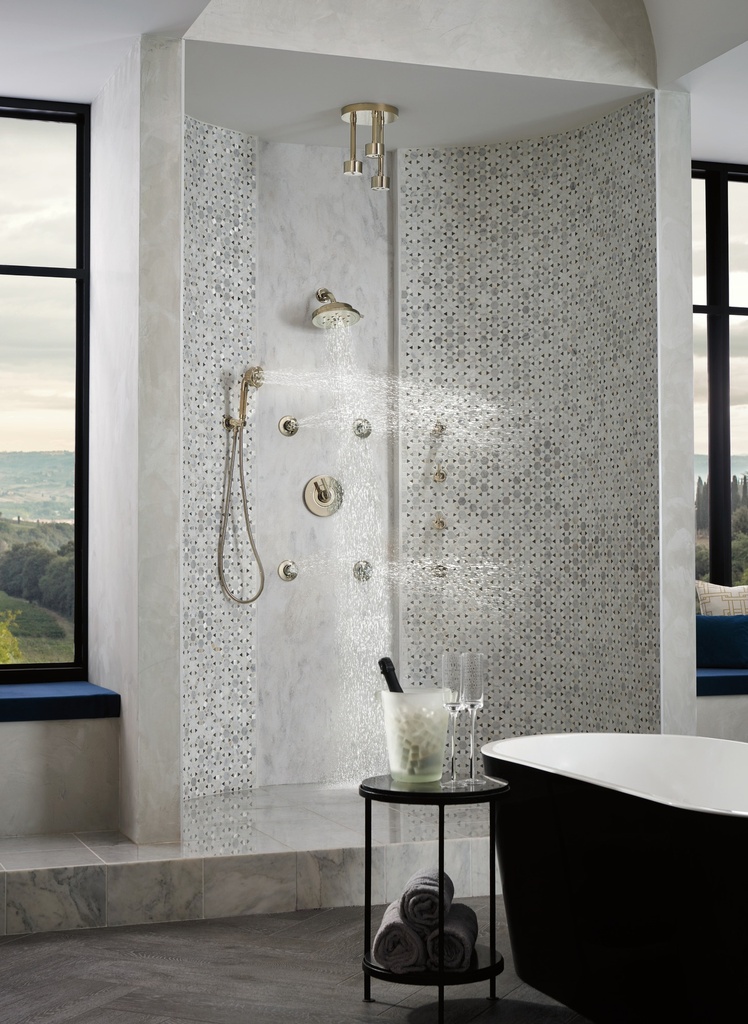 Brizo 88835-PC Litze Wall Mount Handshower