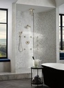 Brizo 88835-PN Litze Wall Mount Handshower