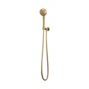 Brizo 88876-GL Invari H2Okinetic Multi-Function Wall Mount Handshower