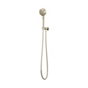 Brizo 88876-PN Invari H2O Multifunction Wall Mount H Andshower