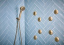 Brizo 88898-NK Levoir Wall Mount Handshower With H20Kinetic Technology