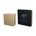 Brizo 8CH-250L-GL-L Square Steam Control And Head