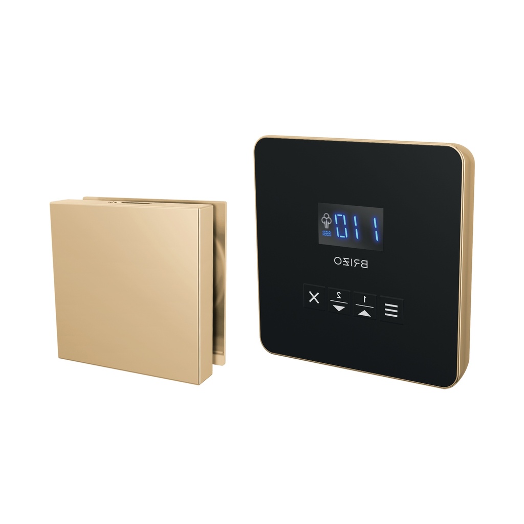 Brizo 8CH-250L-PG-L Square Steam Control And Head