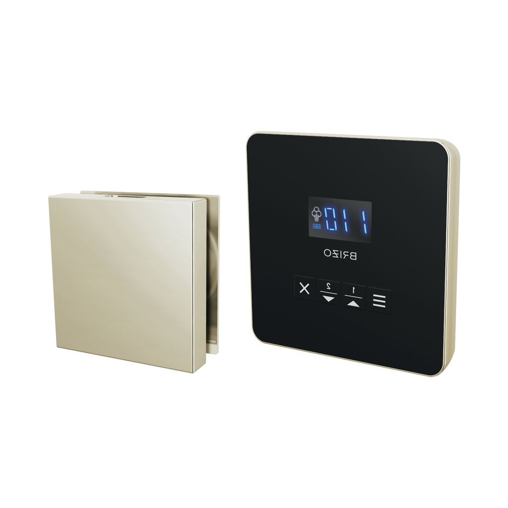 Brizo 8CH-250L-PN-L Square Steam Control And Head