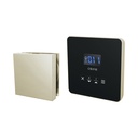 Brizo 8CH-250L-PN-L Square Steam Control And Head