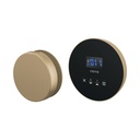 Brizo 8CH-250R-GL-L Round Steam Control And Head