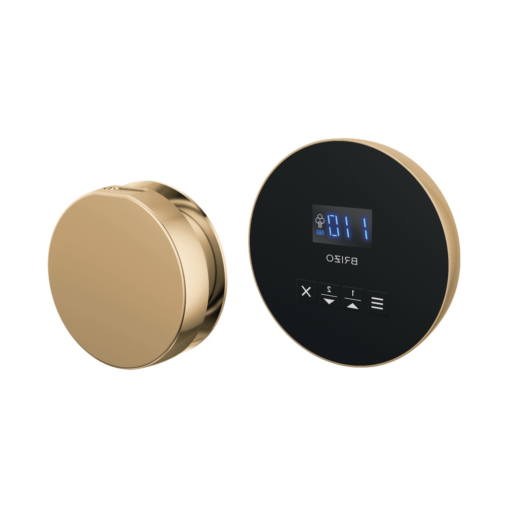 Brizo 8CH-250R-PG-L Round Steam Control And Head