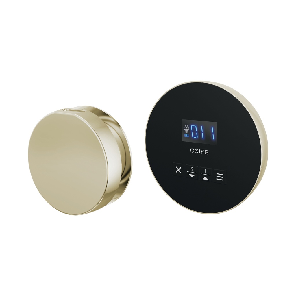 Brizo 8CH-250R-PN-L Round Steam Control And Head