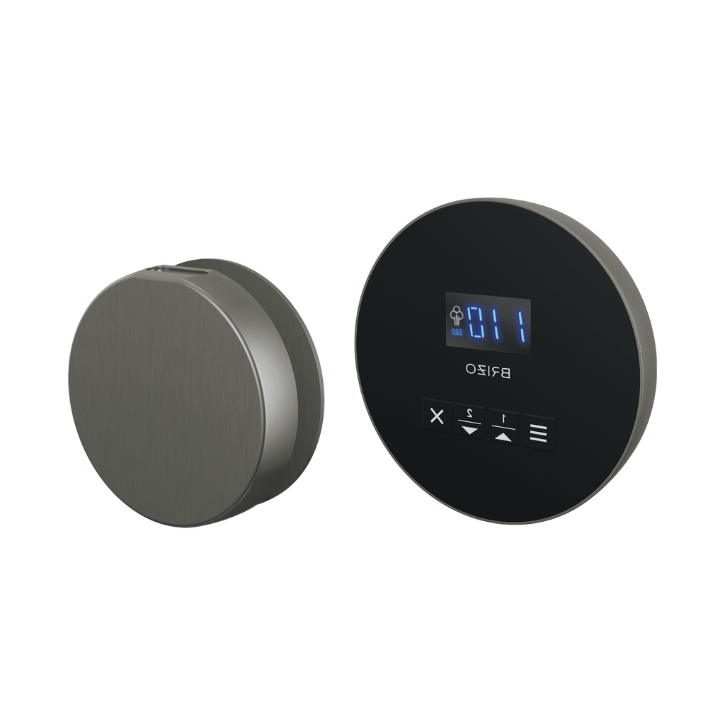 Brizo 8CH-250R-SL-L Round Steam Control And Head