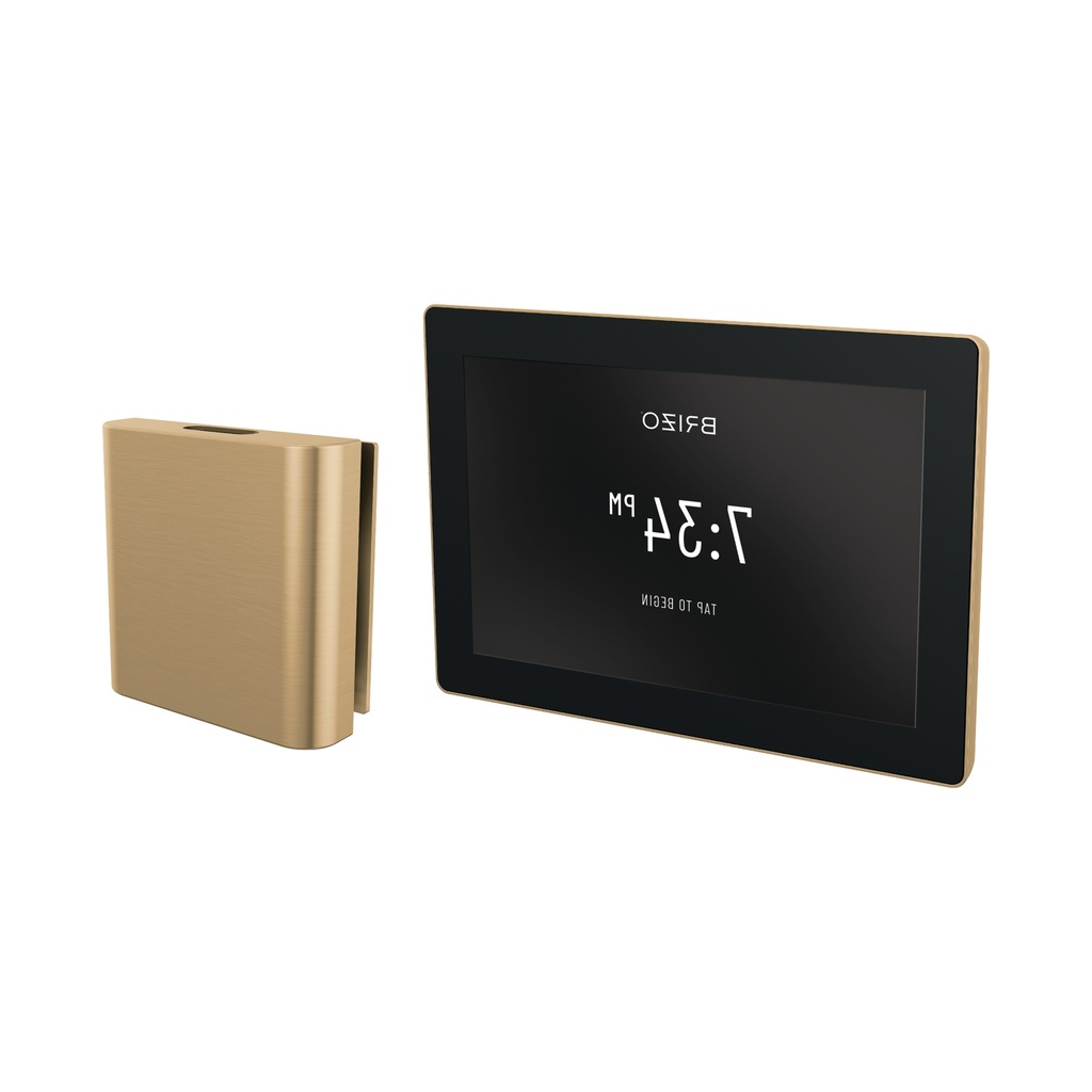 Brizo 8CH-600S-GL-L Square Steam Control And Head
