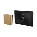 Brizo 8CH-600S-GL-L Square Steam Control And Head