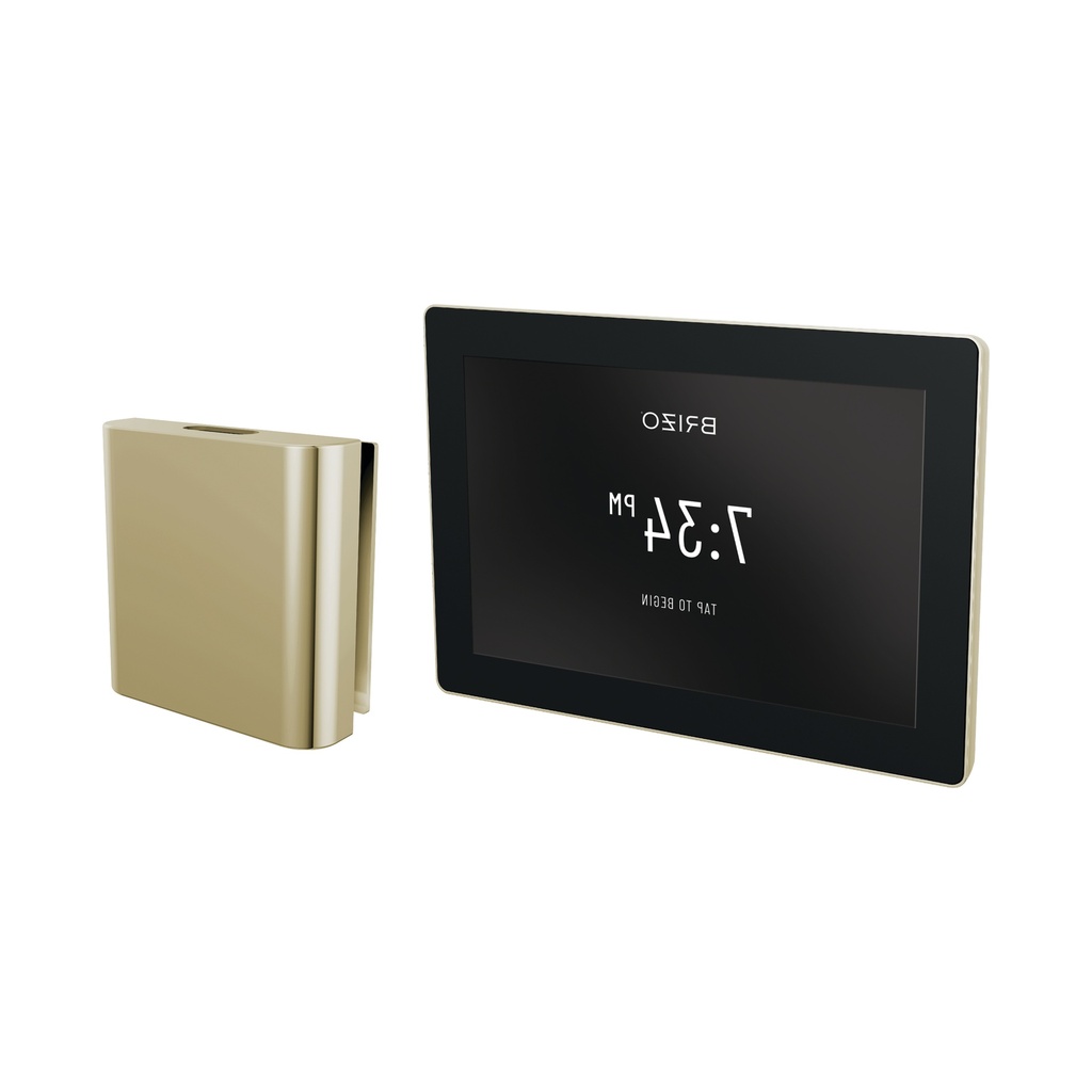 Brizo 8CH-600S-PN-L Square Steam Control And Head