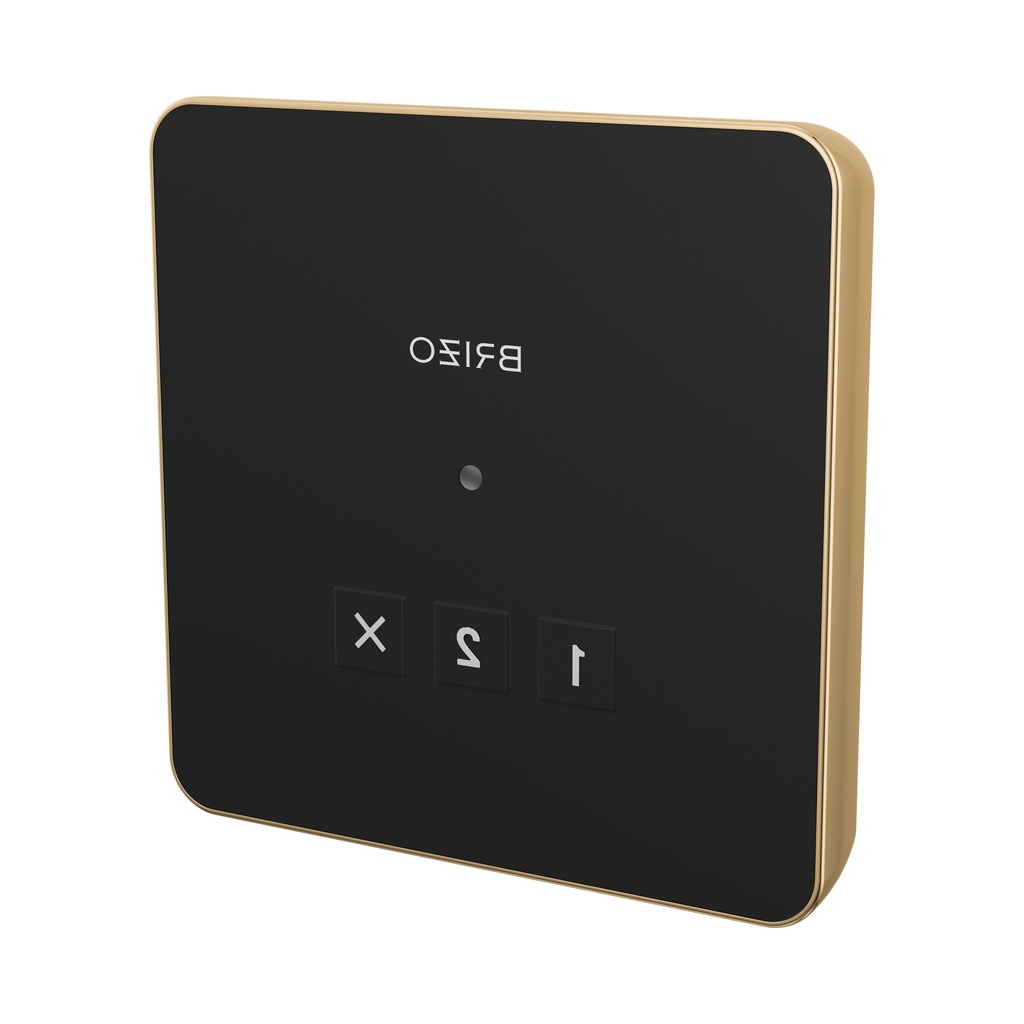Brizo 8CN-220L-PG-L Square Exterior Steam Control