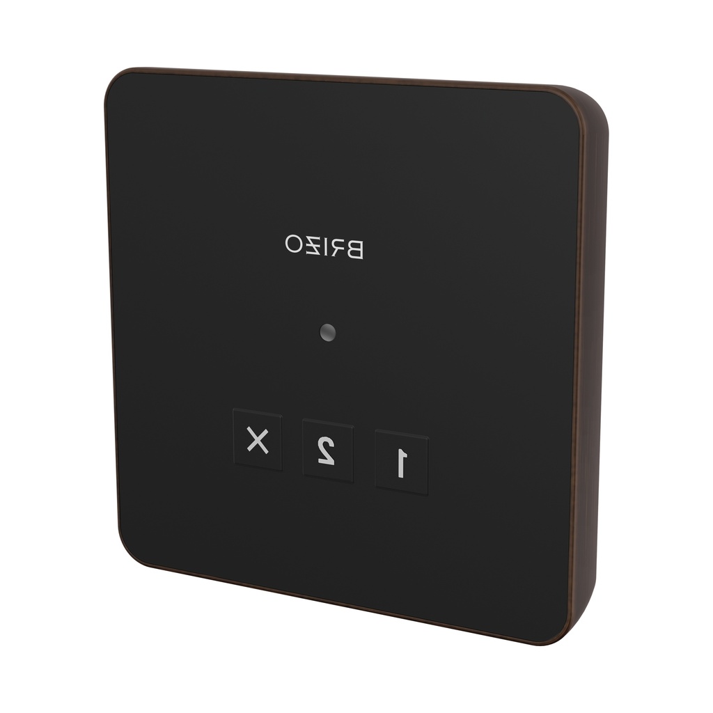 Brizo 8CN-220L-RB Square Exterior Steam Control