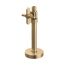Brizo BT021204-GL Straight Supply Stop Valve