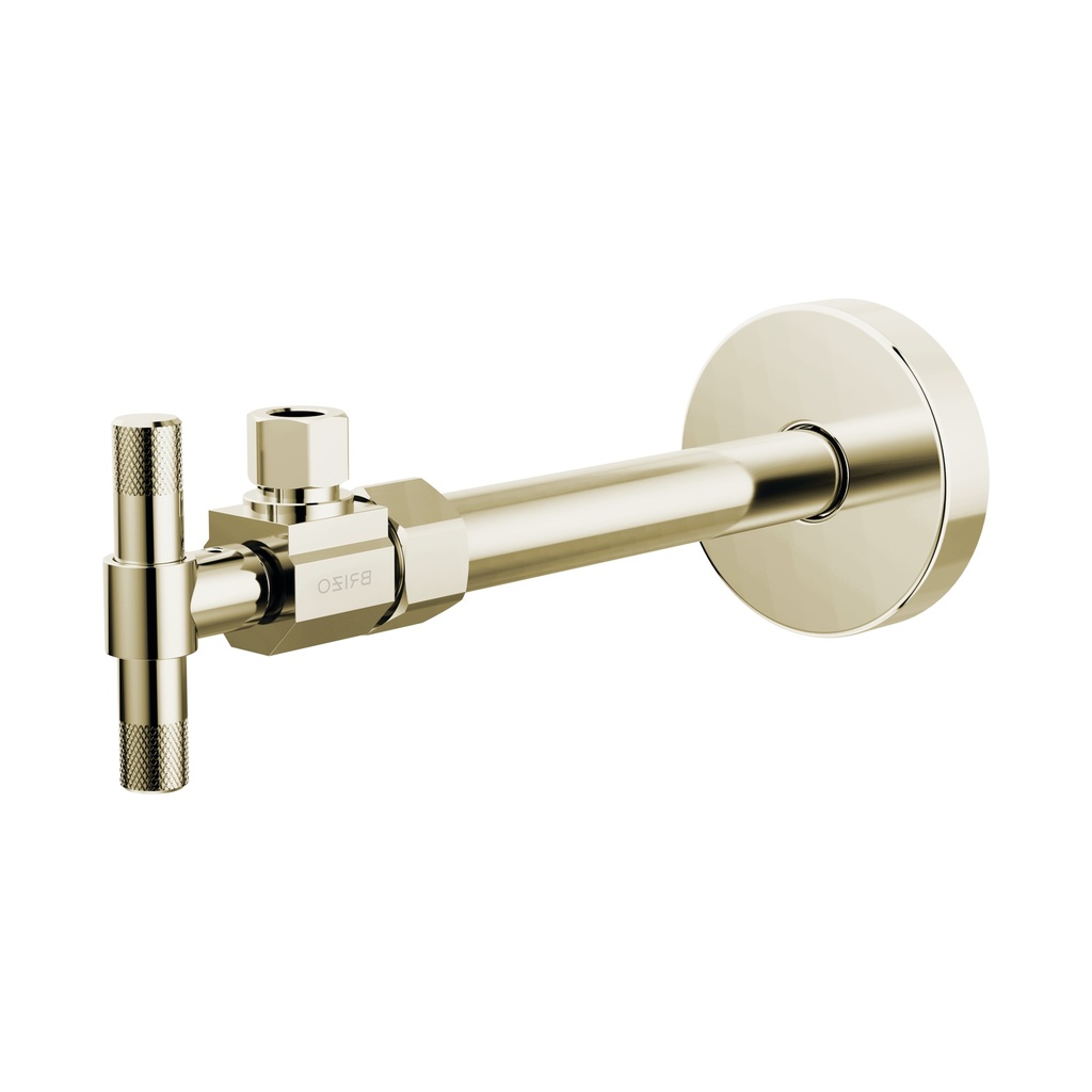 Brizo BT022205-PN Angled Supply Stop Valve