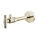 Brizo BT022205-PN Angled Supply Stop Valve