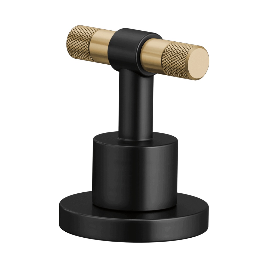Brizo HL5333-BLGL-NM Lavatory Handle Kit T-Lever