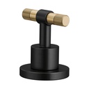 Brizo HL5333-BLGL-NM Lavatory Handle Kit T-Lever
