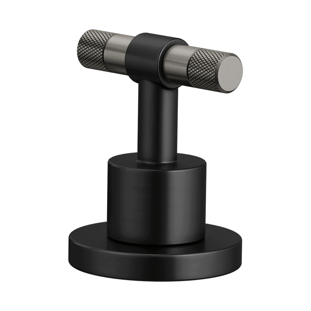 Brizo HL5333-BLSL-NM Lavatory Handle Kit T-Lever