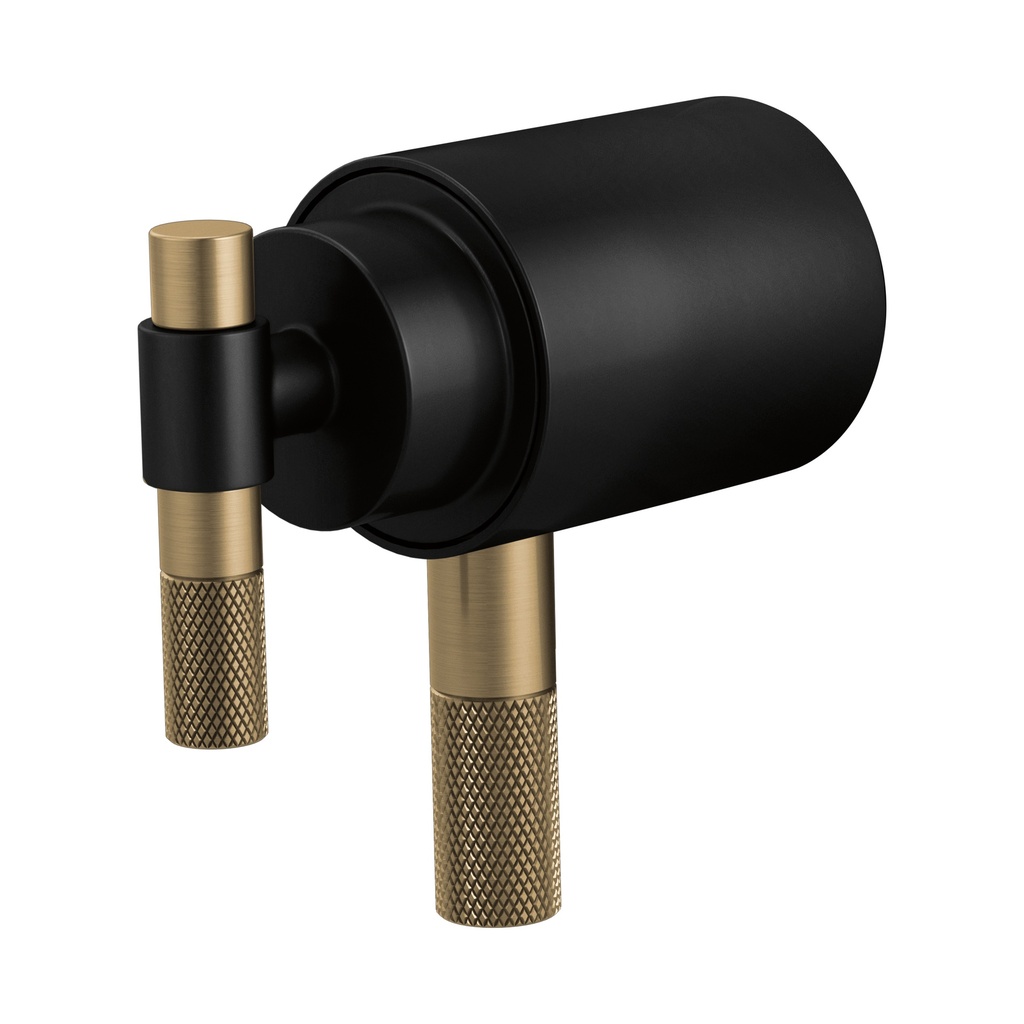Brizo HL6033-BLGL Tempassure Thermostatic Trim Handle Kit T-Lever