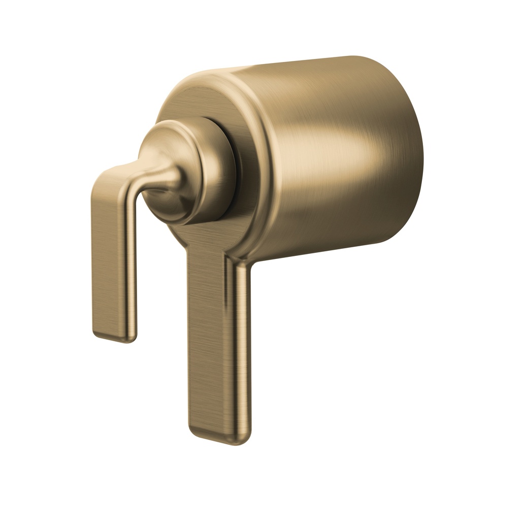 Brizo HL6067-GL Allaria Thermostatic Trim Handle Kit Twist Lever