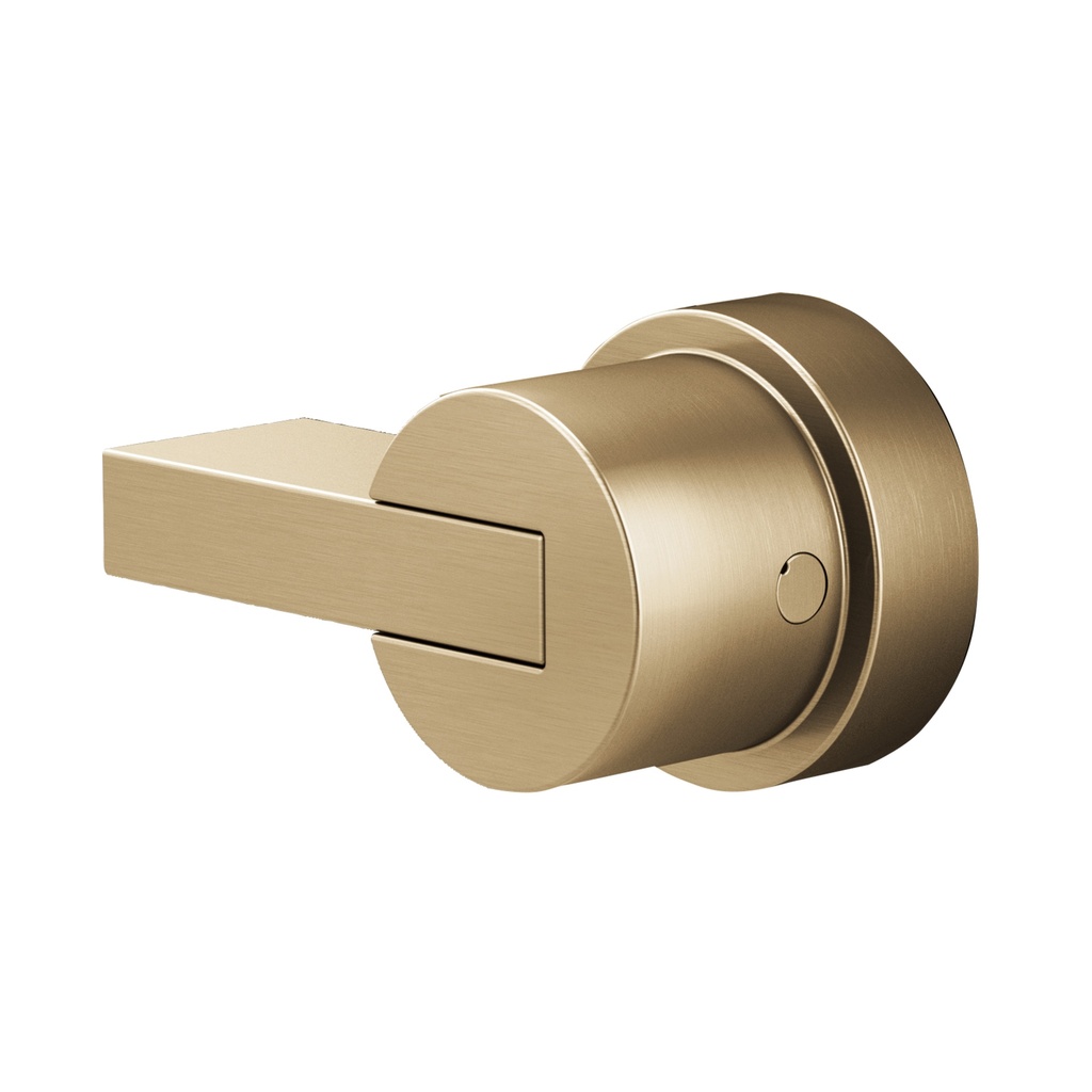 Brizo HL60P32-GL Pressure Balance Lever Handle