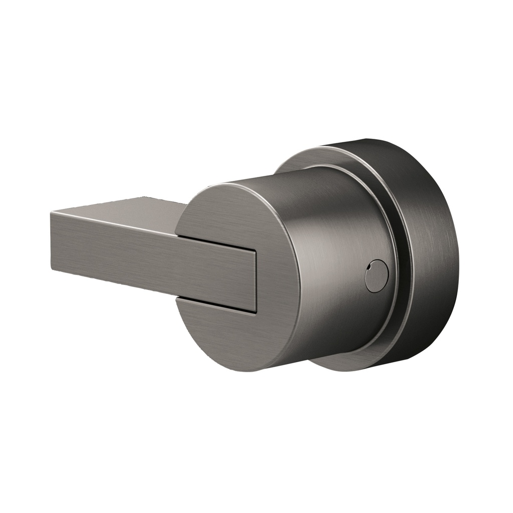 Brizo HL60P32-SL Pressure Balance Lever Handle