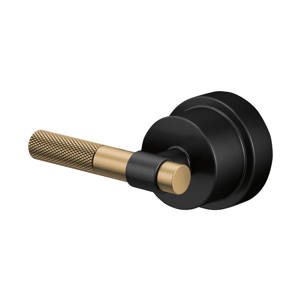Brizo HL60P33-BLGL Pressure Balance T-Lever Handle