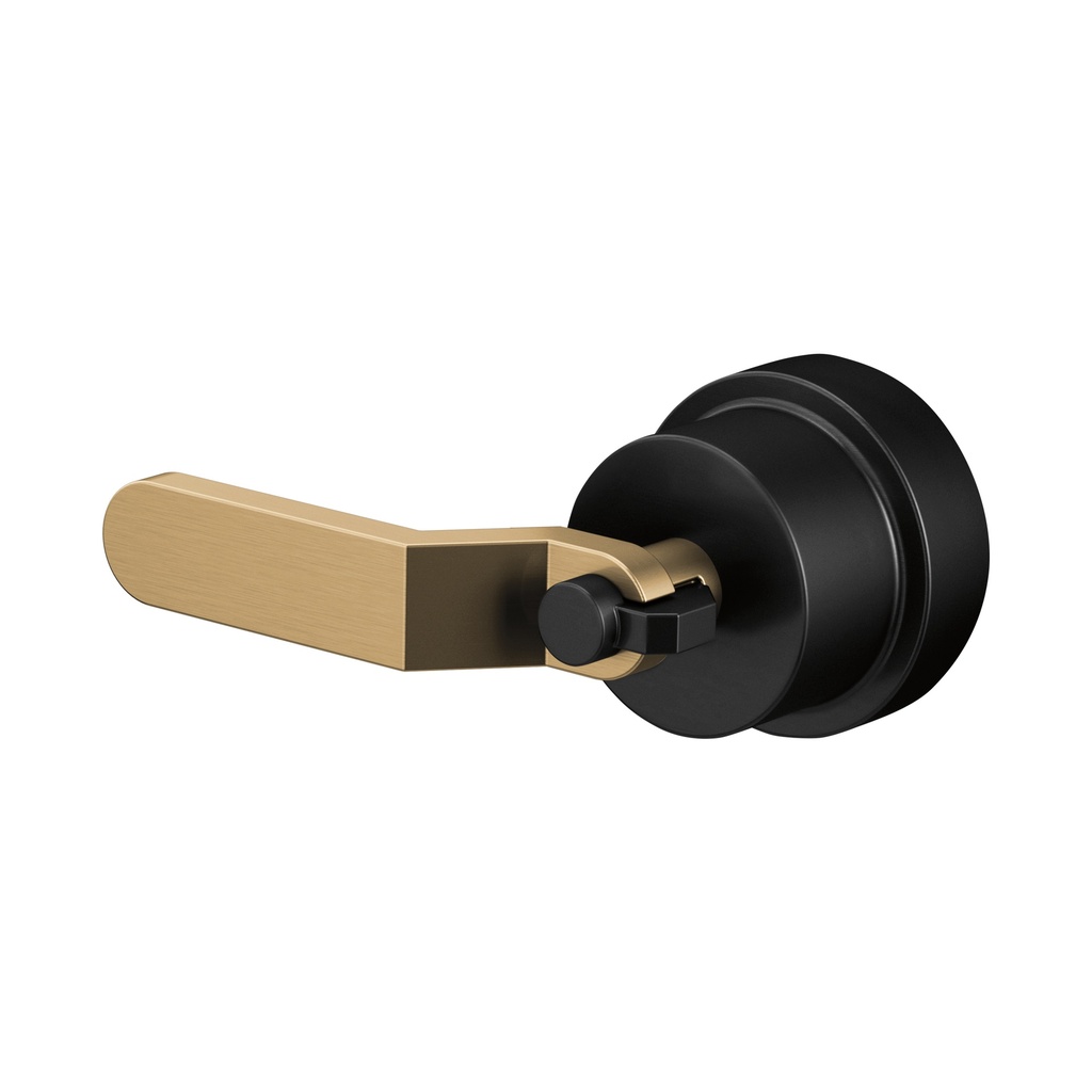 Brizo HL60P34-BLGL Pressure Balance Industrial Lever Handle