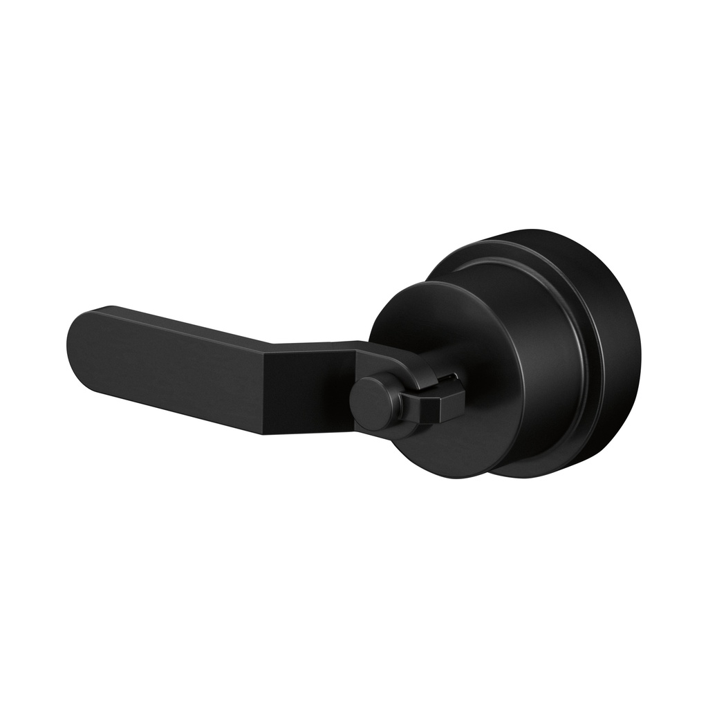 Brizo HL60P34-BL Pressure Balance Industrial Lever Handle