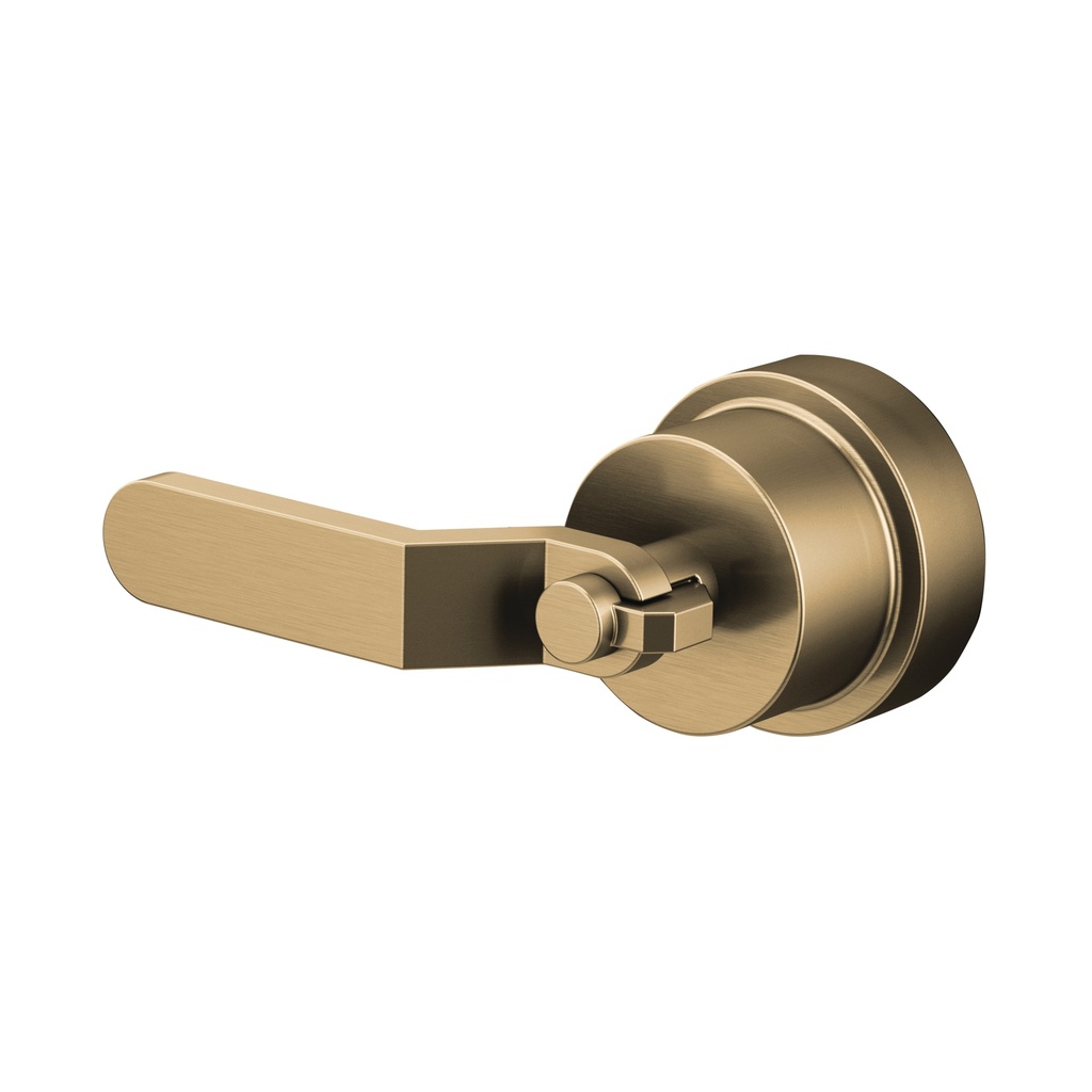 Brizo HL60P34-GL Pressure Balance Industrial Lever Handle