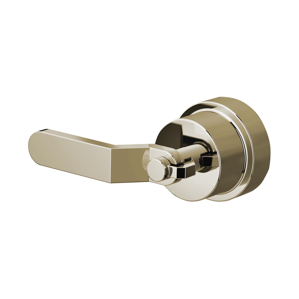 Brizo HL60P34-PN Pressure Balance Industrial Lever Handle