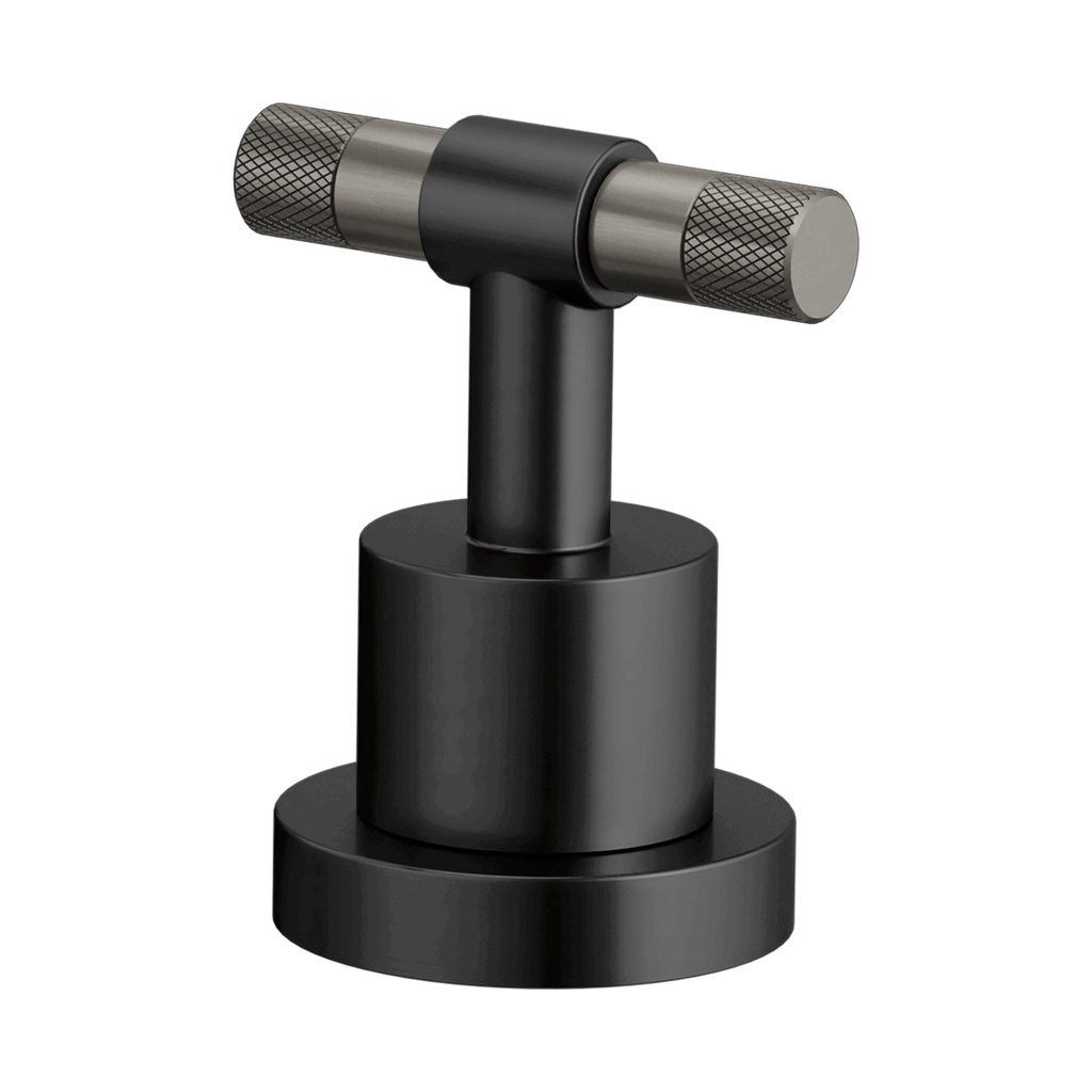Brizo HL633-BLSL Roman Tub Handle Kit T-Lever.