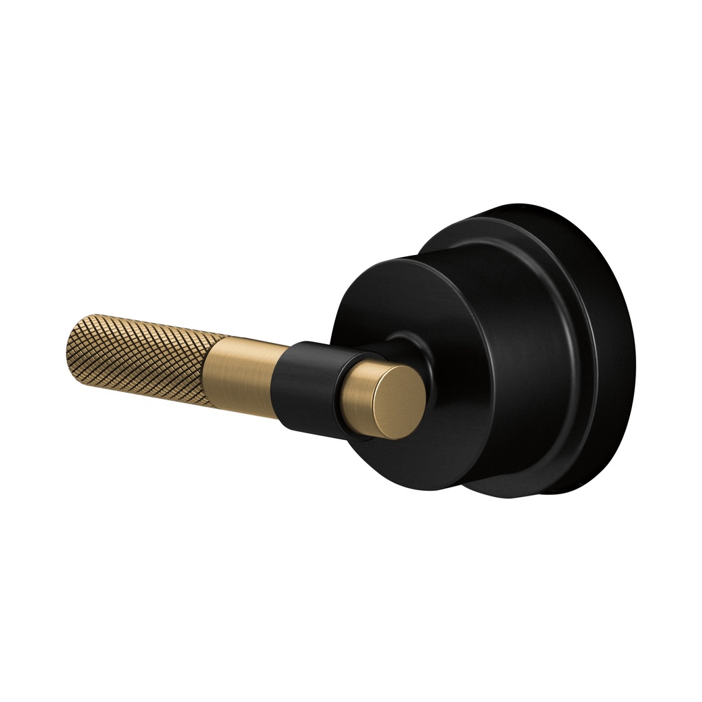 Brizo HL6633-BLGL Sensori Thermostatic Valve Trim Handle Kit T-Lever