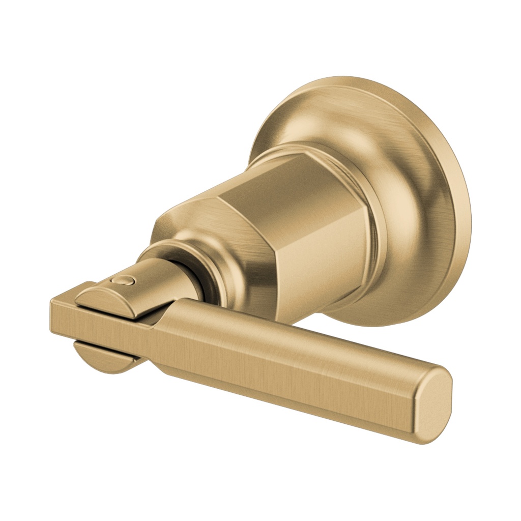 Brizo HL70476-GL Invari Wall Mount Handle Kit - Lever